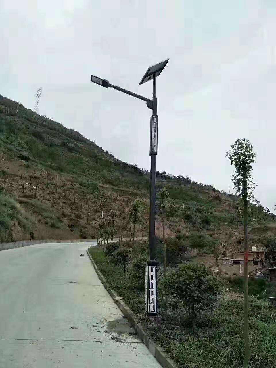 洪梅镇仿古太阳能路灯